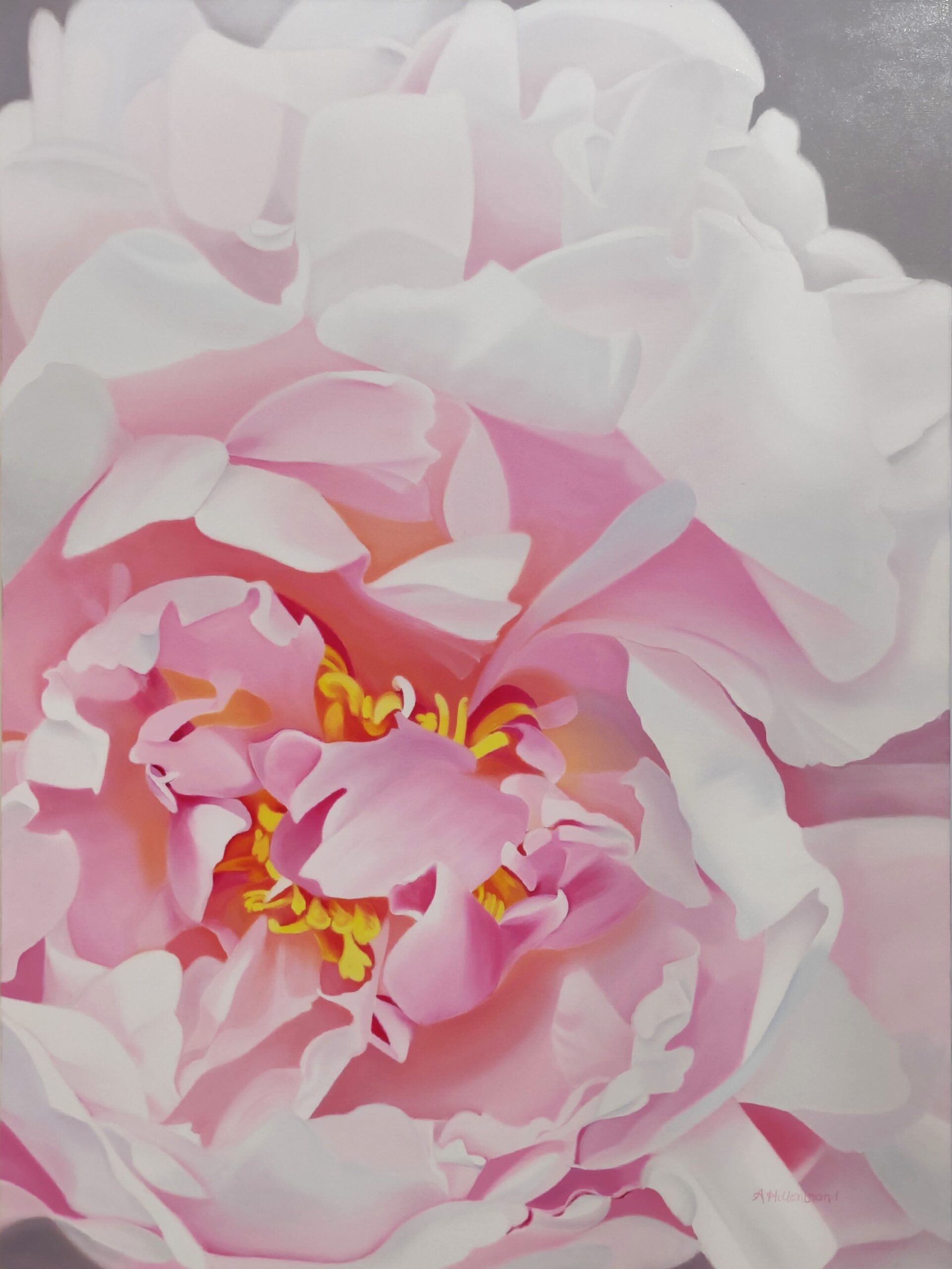 virtual gallery tour