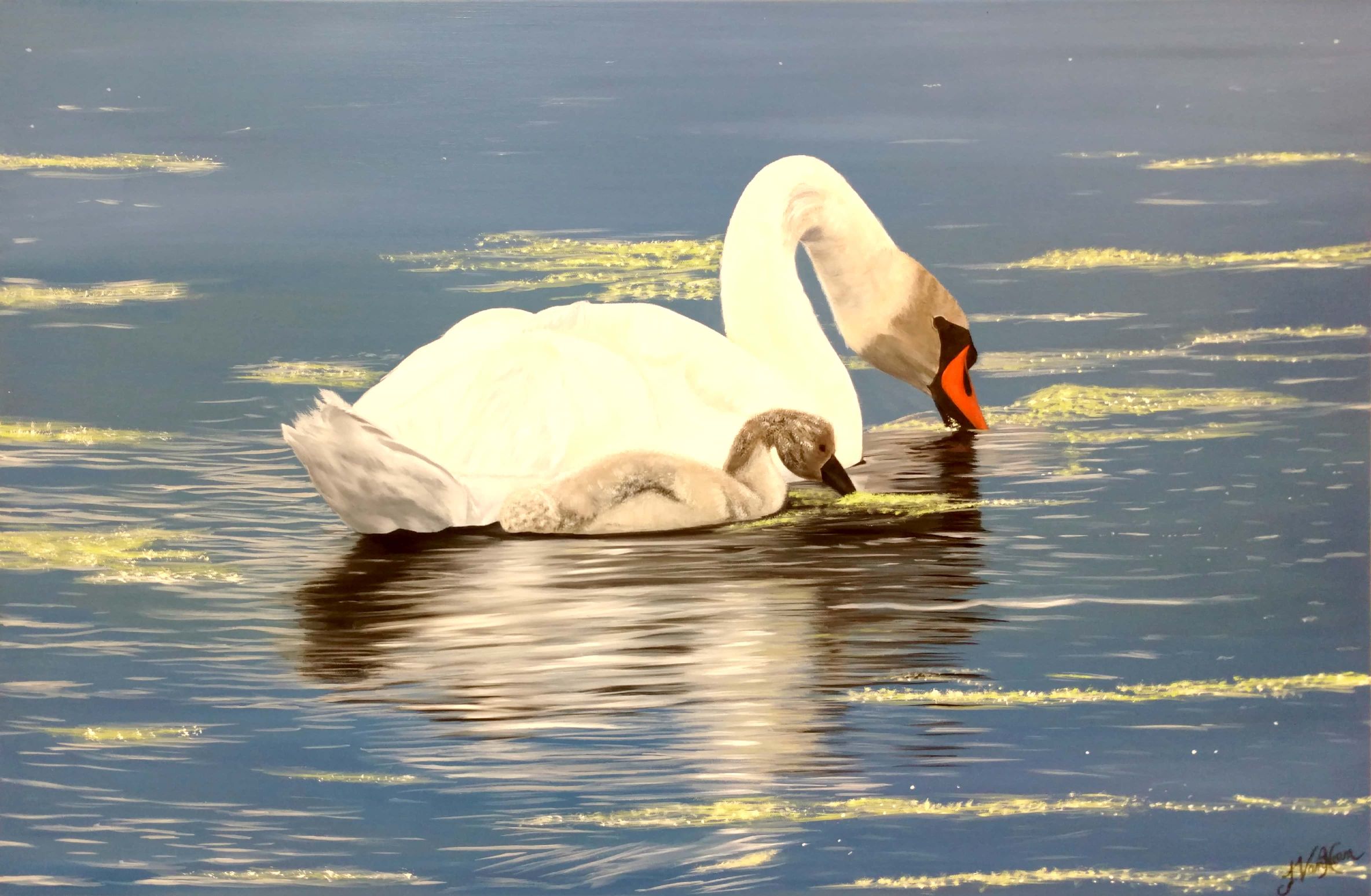 virtual gallery tour