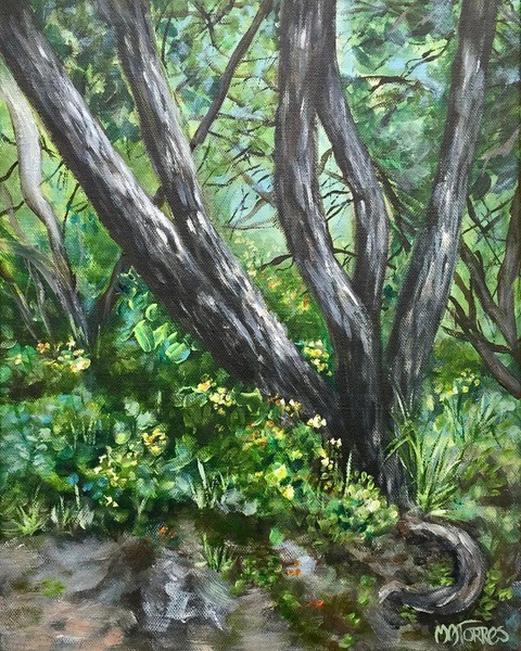 virtual gallery tour