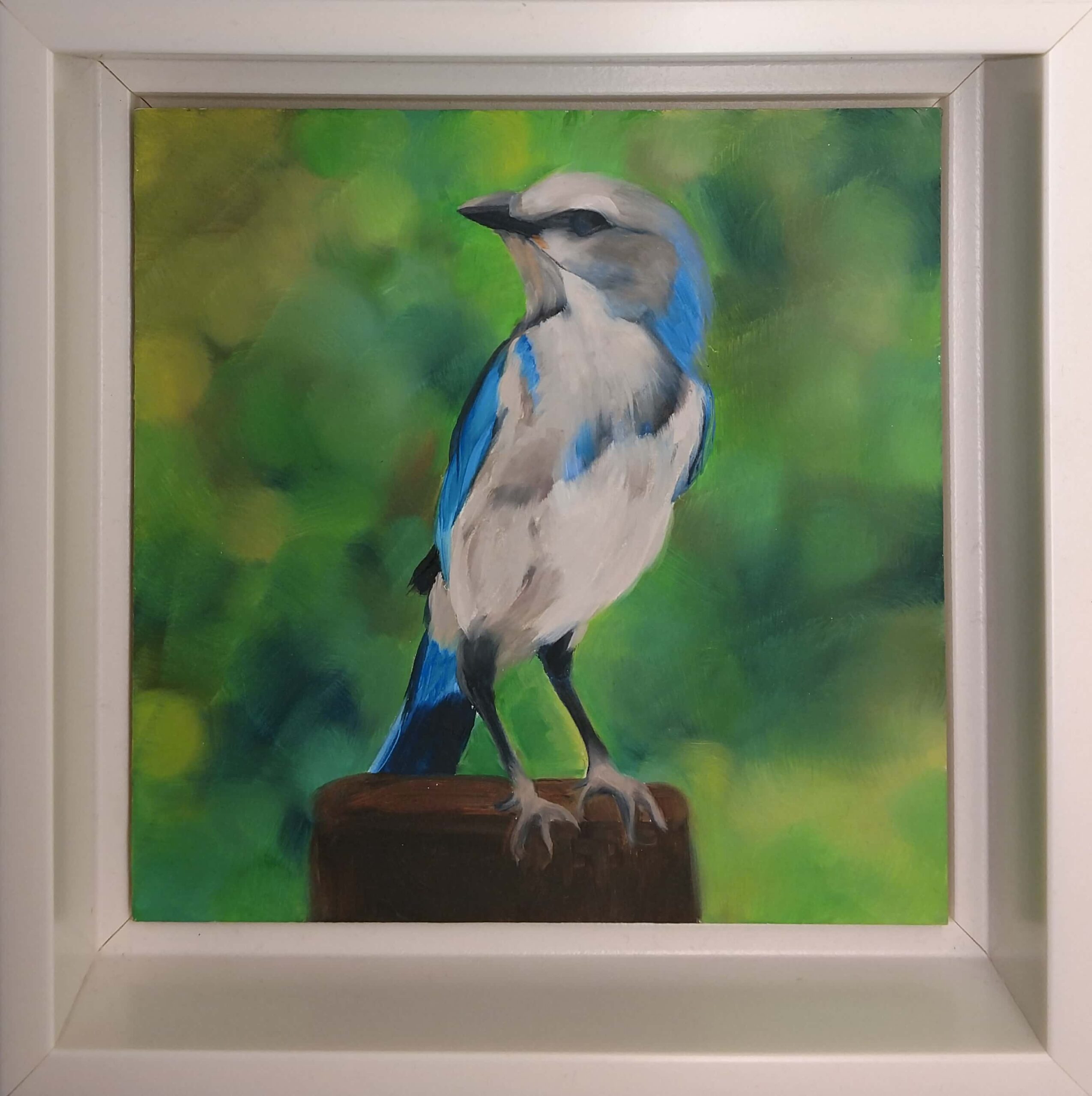 virtual gallery tour